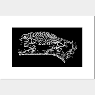 Chameleon Skeleton Posters and Art